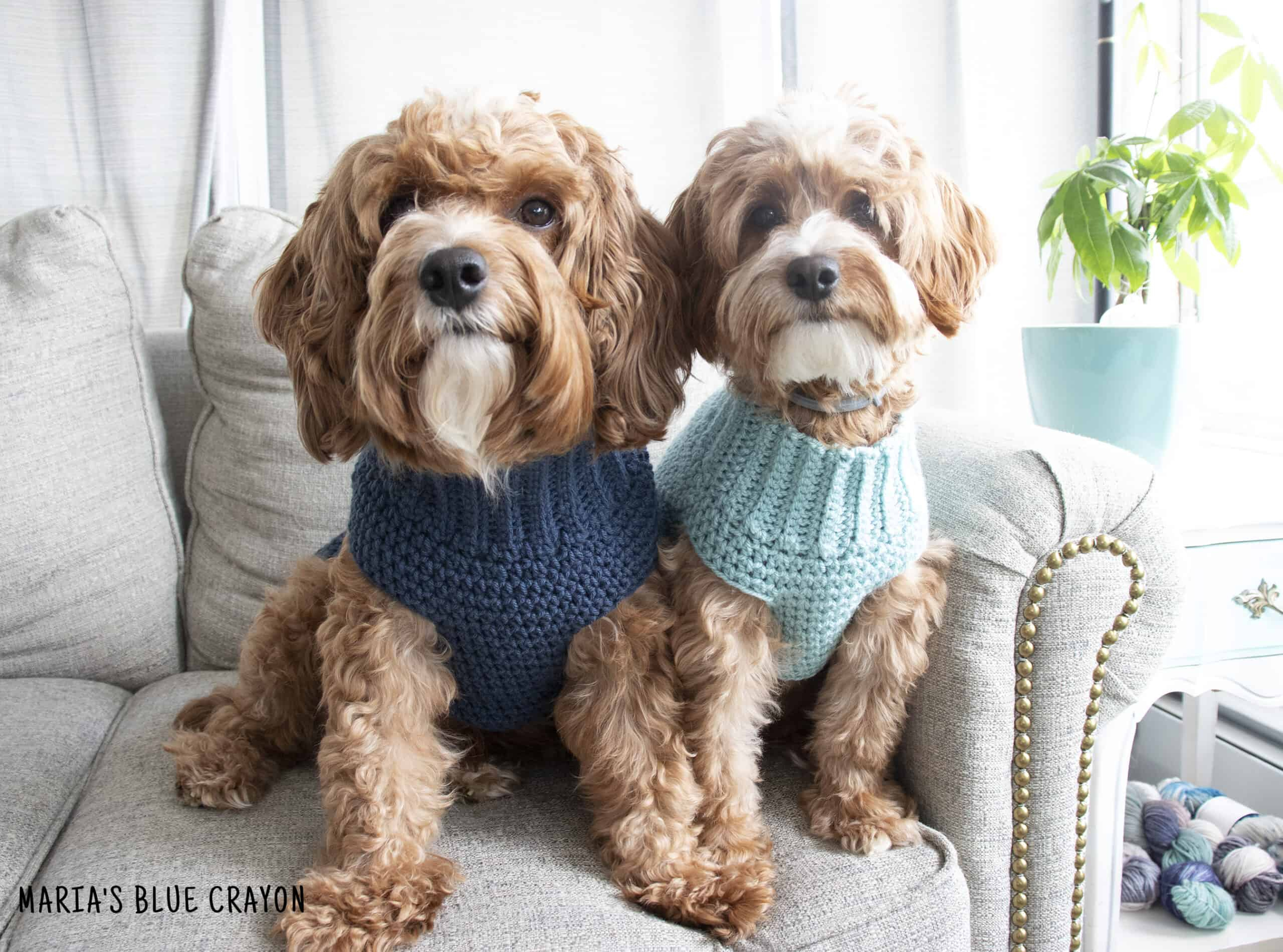 Crochet Dog Sweater Free Pattern - Maria&amp;#039;S Blue Crayon with regard to Free Printable Crochet Dog Sweater Patterns