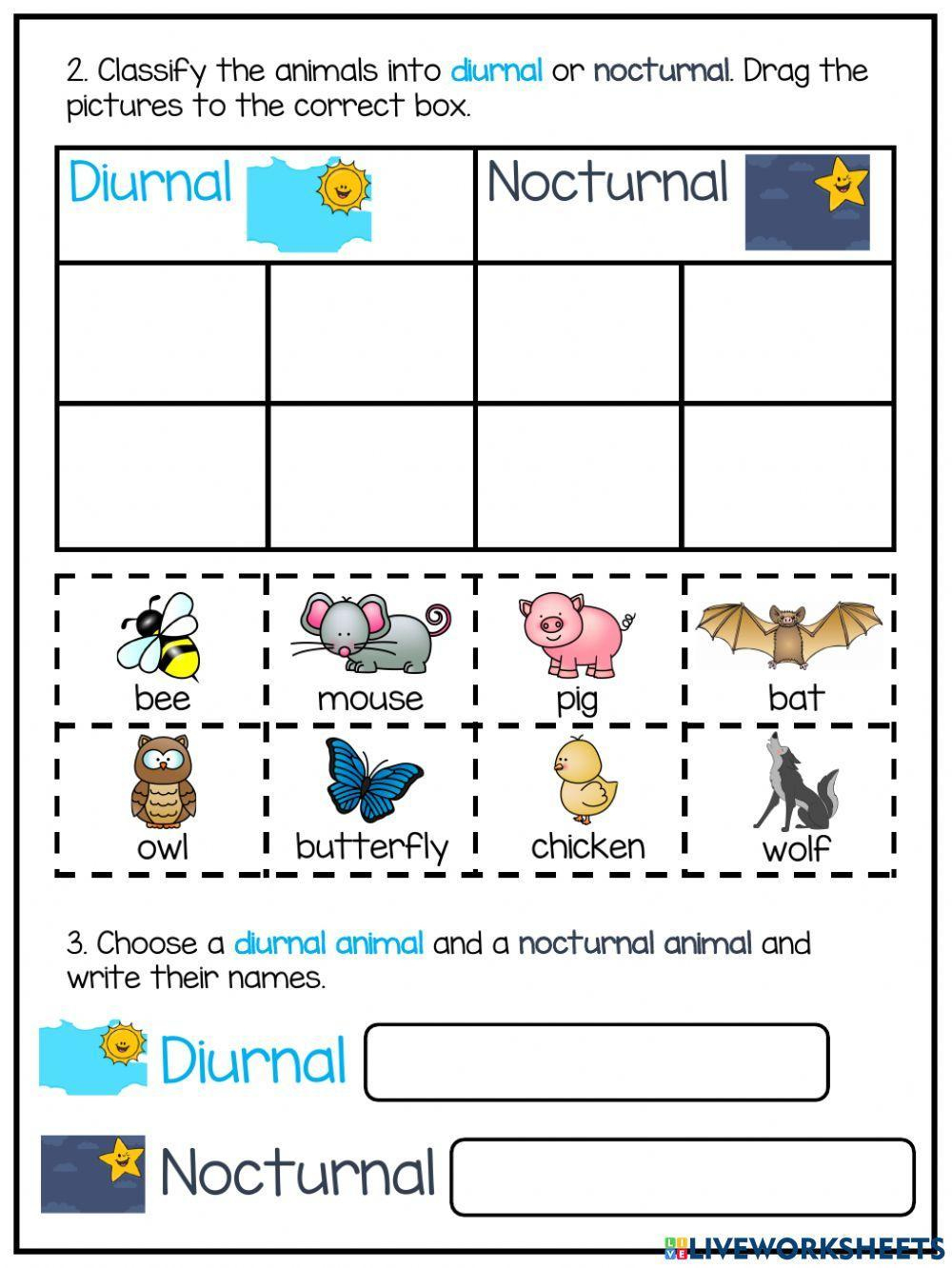 Day And Night: Diurnal And Nocturnal Animals Worksheet | Live within Free Printable Nocturnal and Diurnal Animals Worksheets
