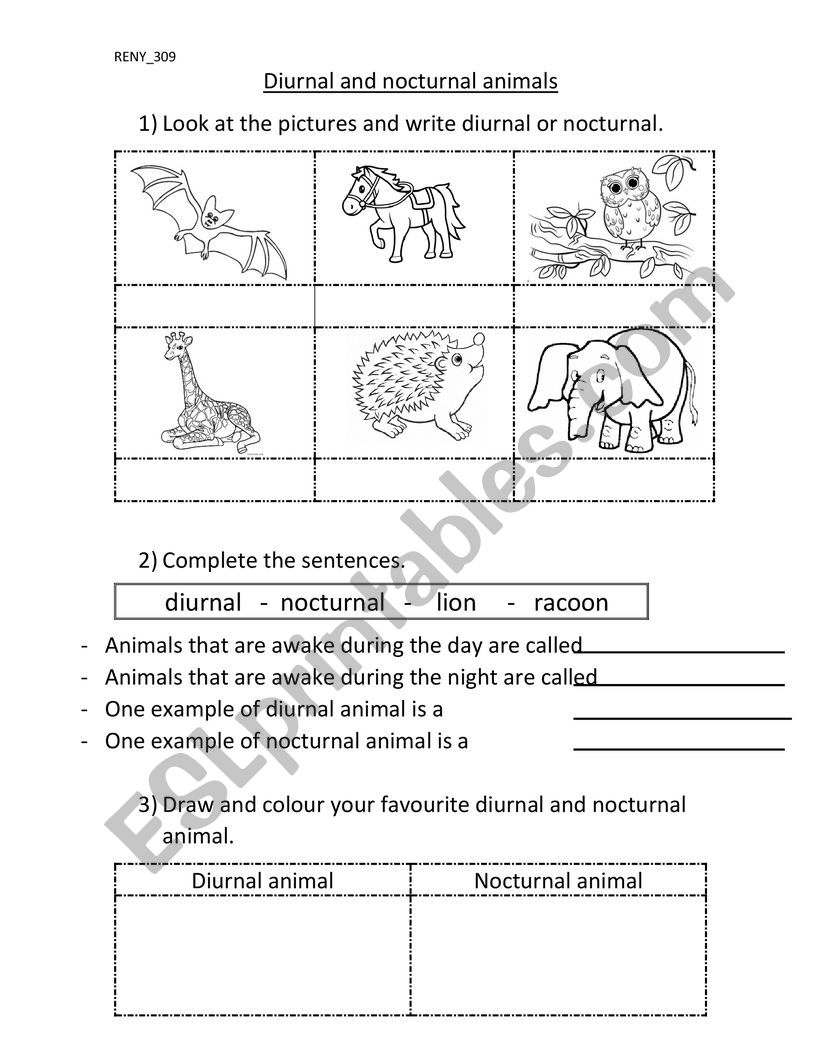 Diurnal - Esl Worksheetreny_309 for Free Printable Nocturnal and Diurnal Animals Worksheets