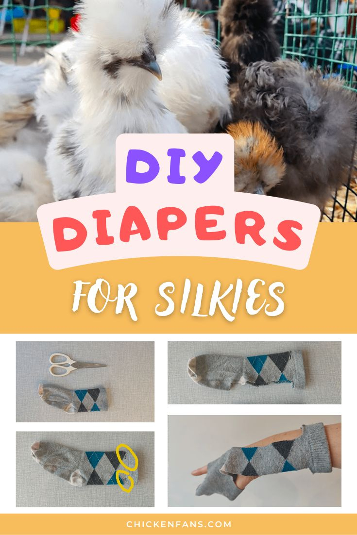Diy Chicken Diapers For Silkies | Chicken Fans throughout Printable Chicken Diaper Pattern Free