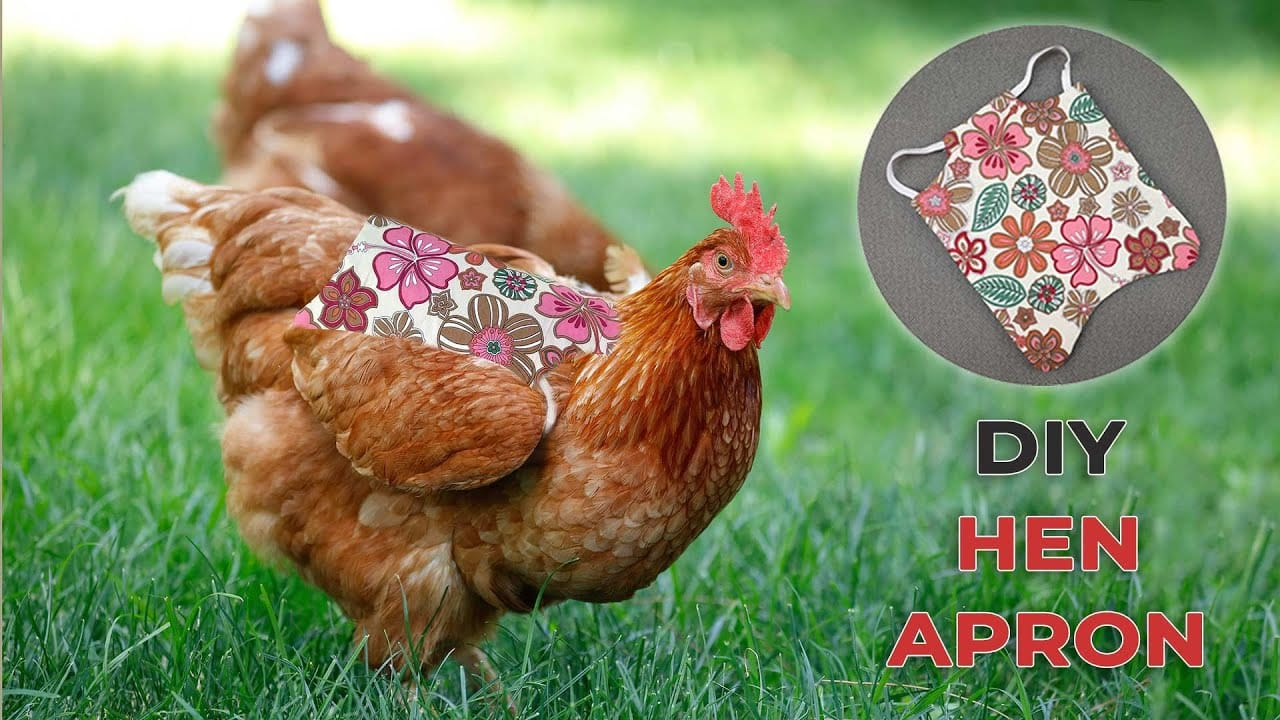 Diy Chicken Saddle - Free Hen Apron Pattern inside Free Printable Chicken Saddle Pattern