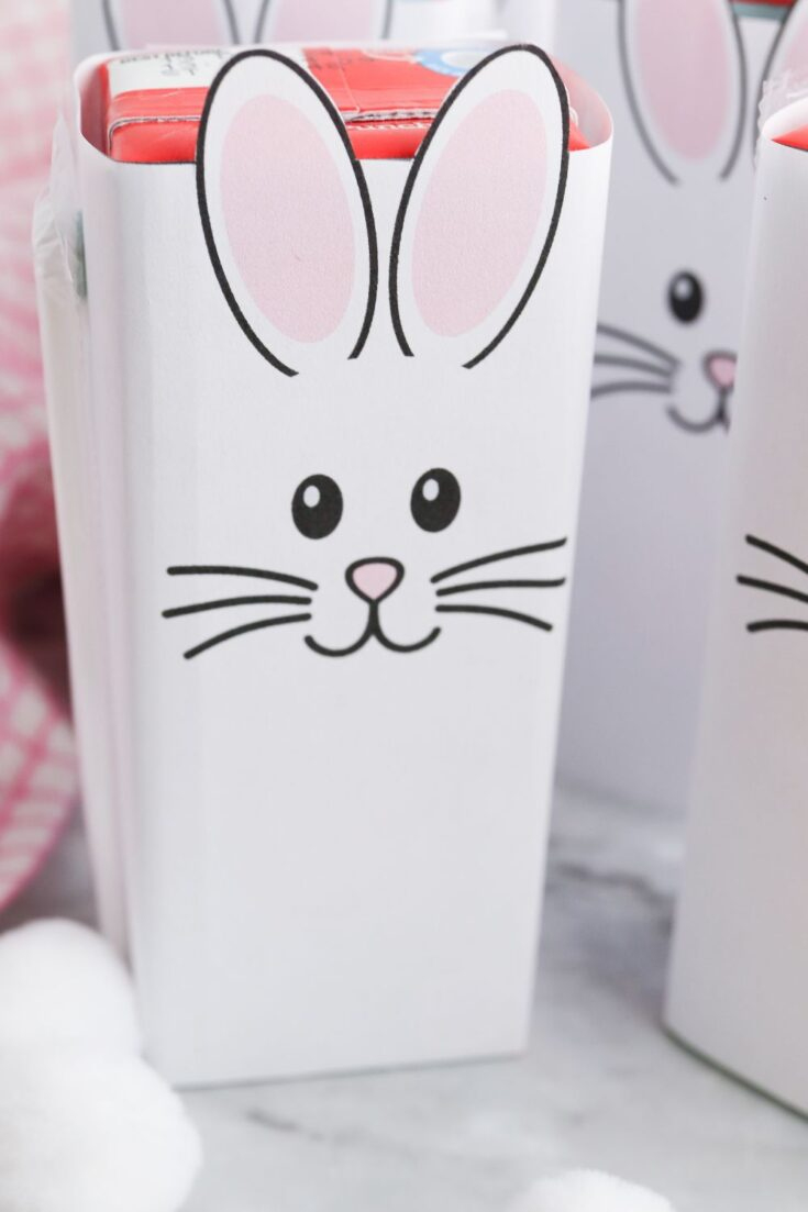 Diy Easter Juice Boxes With Printable Bunny Template inside Bunny Juice Box Printable