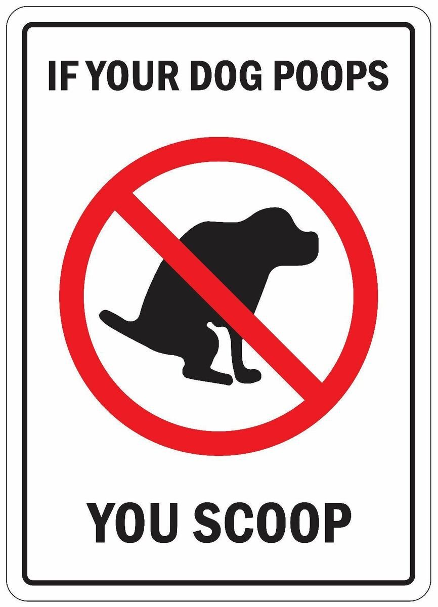 Dog Poo Poop Warning Caution Danger Sign Self Adhesive Sticker | Ebay pertaining to Free Printable Dog Poop Signs Uk