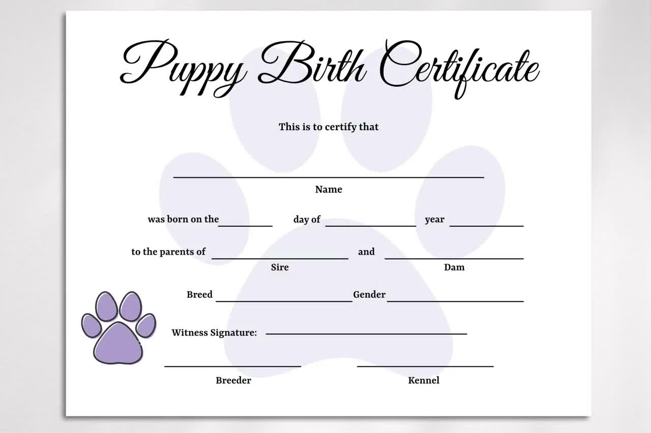 Editable Puppy Birth Certificate Template, Dog Adoption Certificate, Pet Birth Certificate, Dog Breeder Forms for Free Printable Puppy Birth Certificate