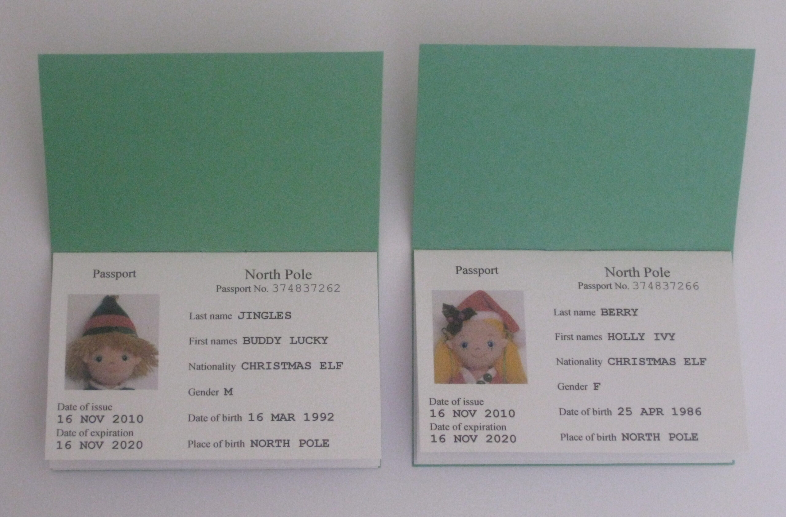 Elf Passports &amp;amp; More | Berry Jingles Blog within Free Printable Elf Passport