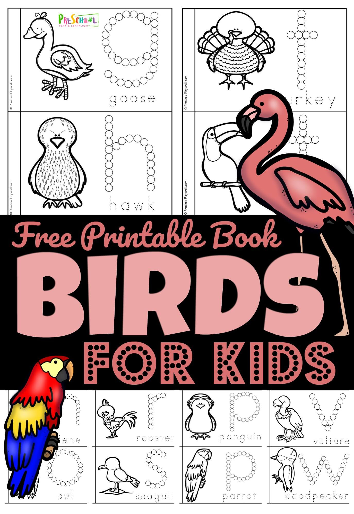 🦩🦜🐧 Free Birds For Preschoolers Printable Book with Preschool Bird Theme Printables