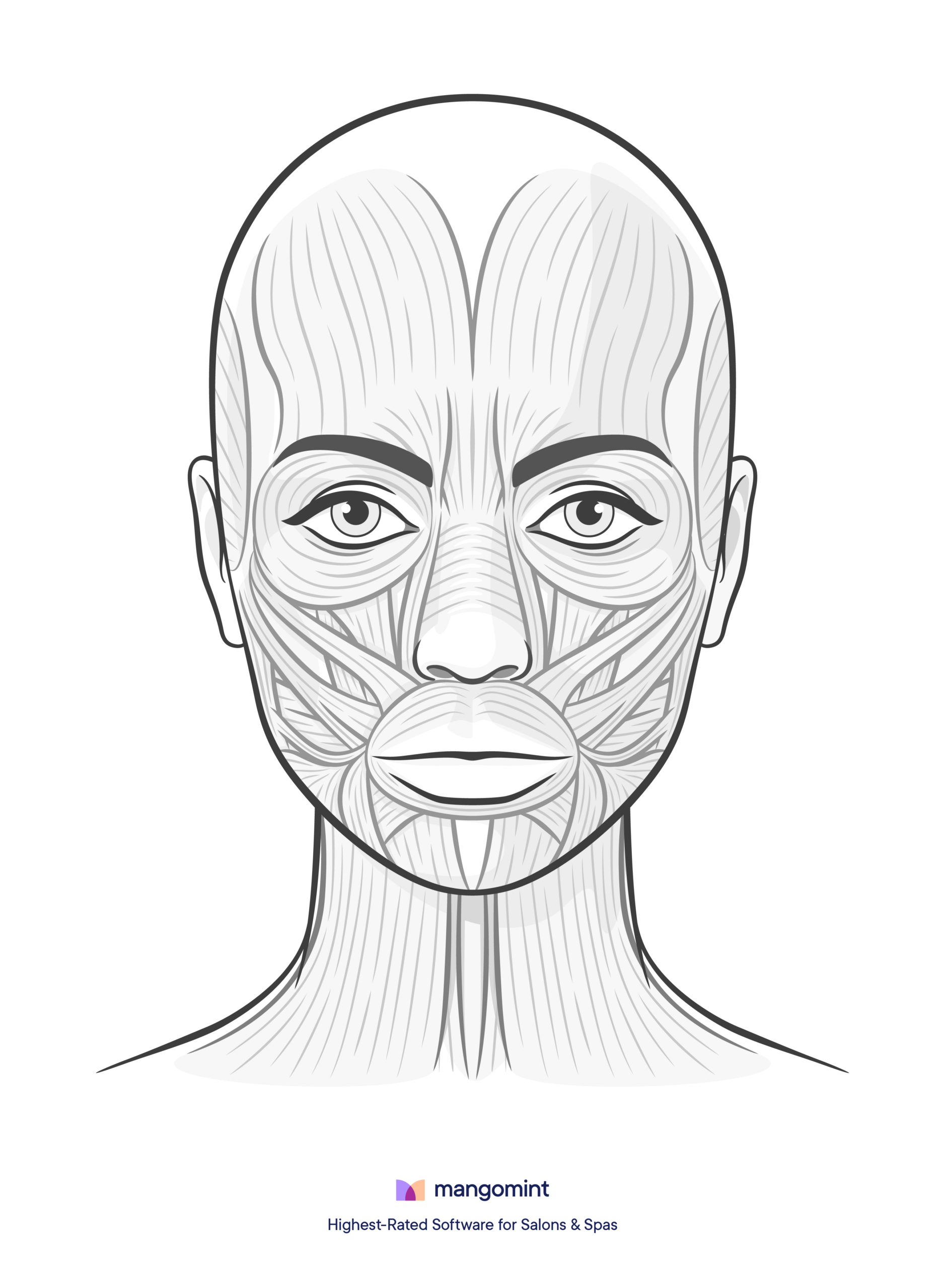 Face Charts: Templates For Spas, Salons, And Tattoo Shops regarding Free Printable Botox Face Chart