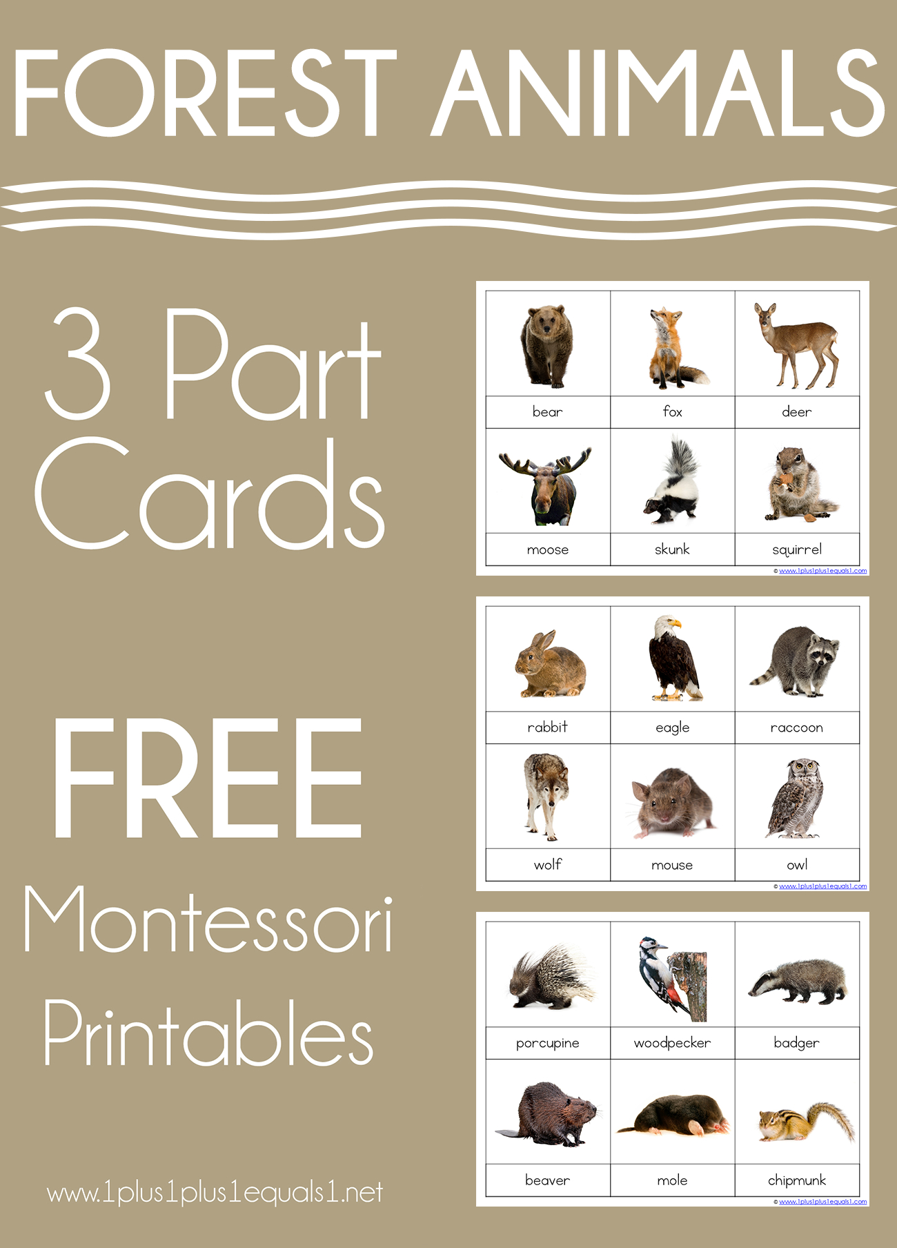 Forest Animals Montessori Printables – Free 3 Part Cards - 1+1+1=1 pertaining to Free Montessori Printables