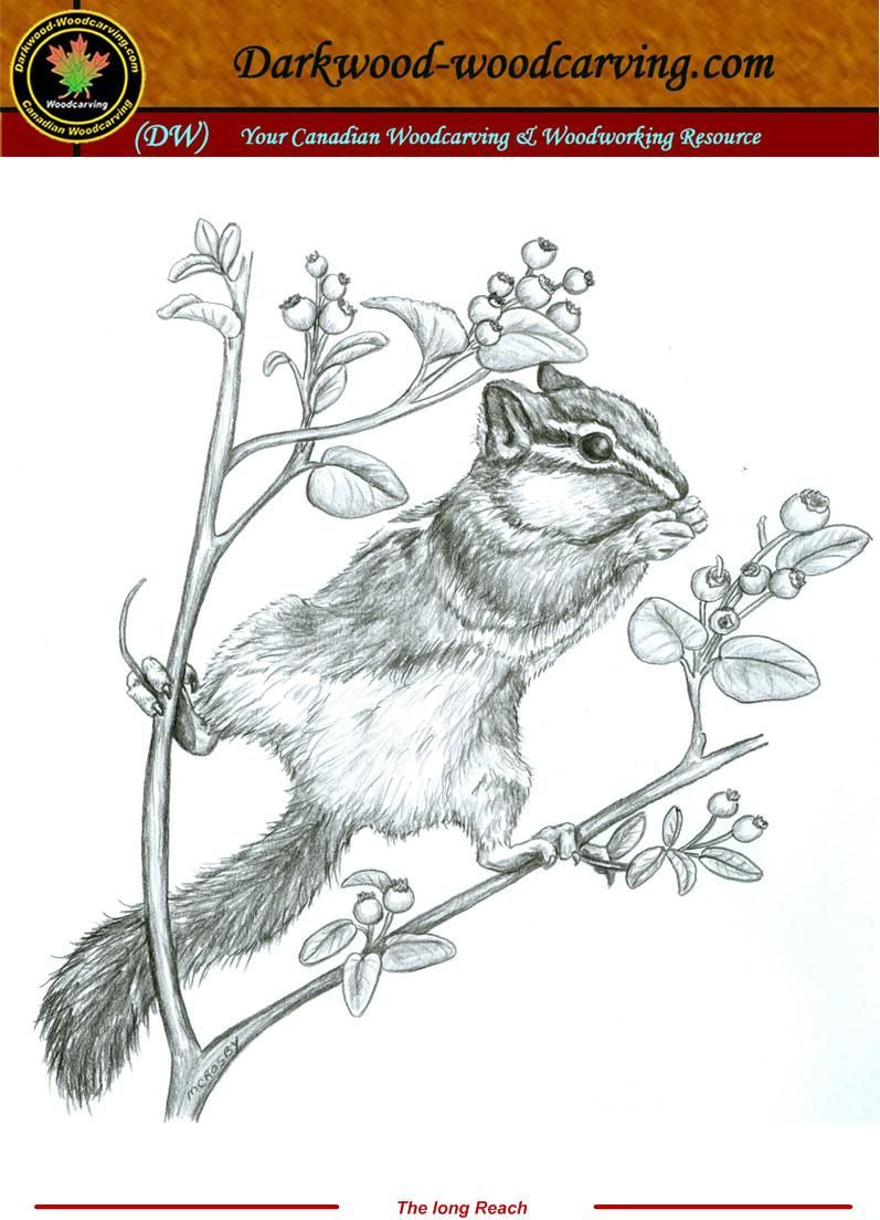 Found On Bing From Es.pinterest throughout Beginner Free Printable Wildlife Wood Burning Patterns