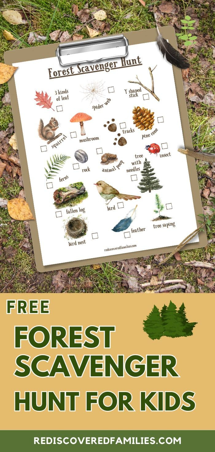 Free Forest Scavenger Hunt Your Kids Will Love | Rediscovered Families throughout Forest Scavenger Hunt Printable Free