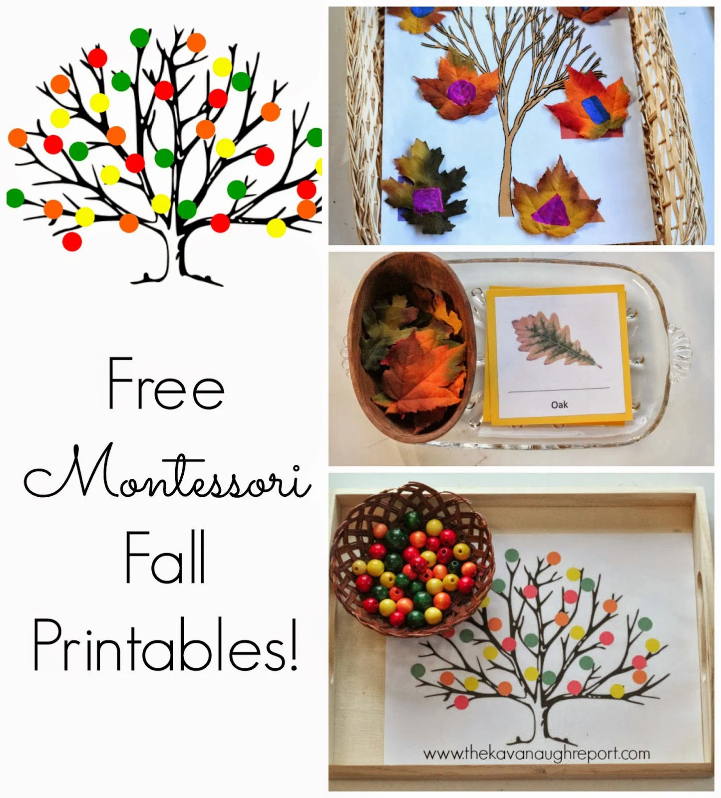 Free Montessori Inspired Fall Printables for Free Montessori Printables