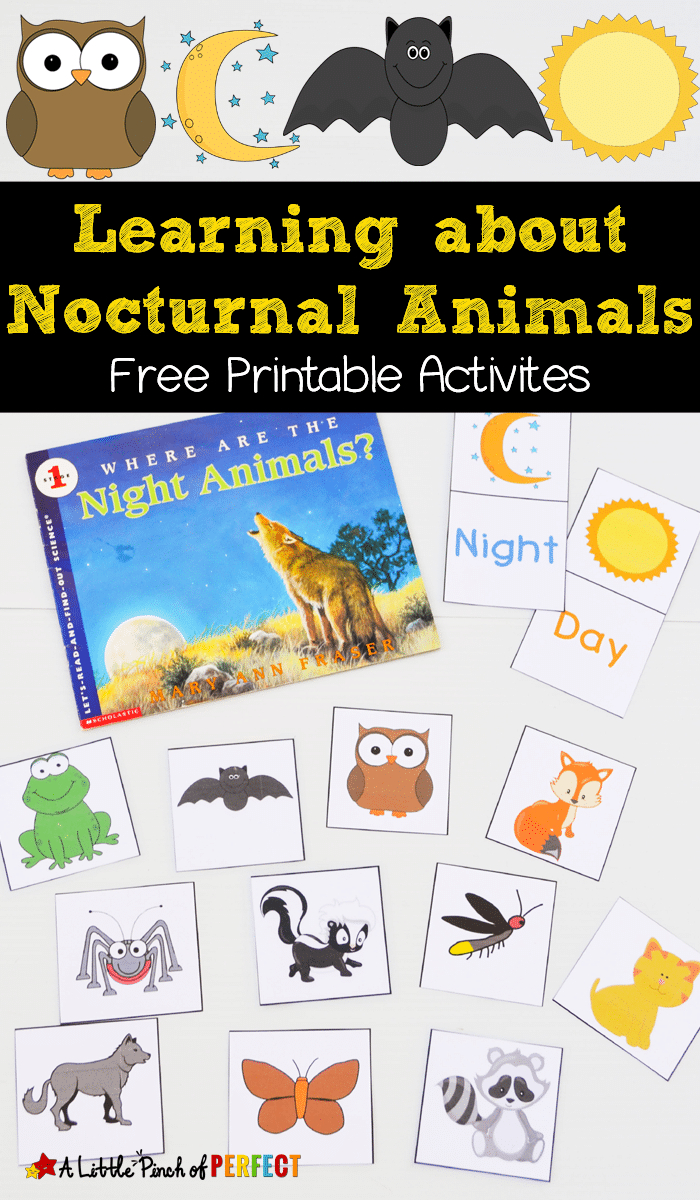 Free Nocturnal Animals Printables regarding Free Printable Nocturnal and Diurnal Animals Worksheets