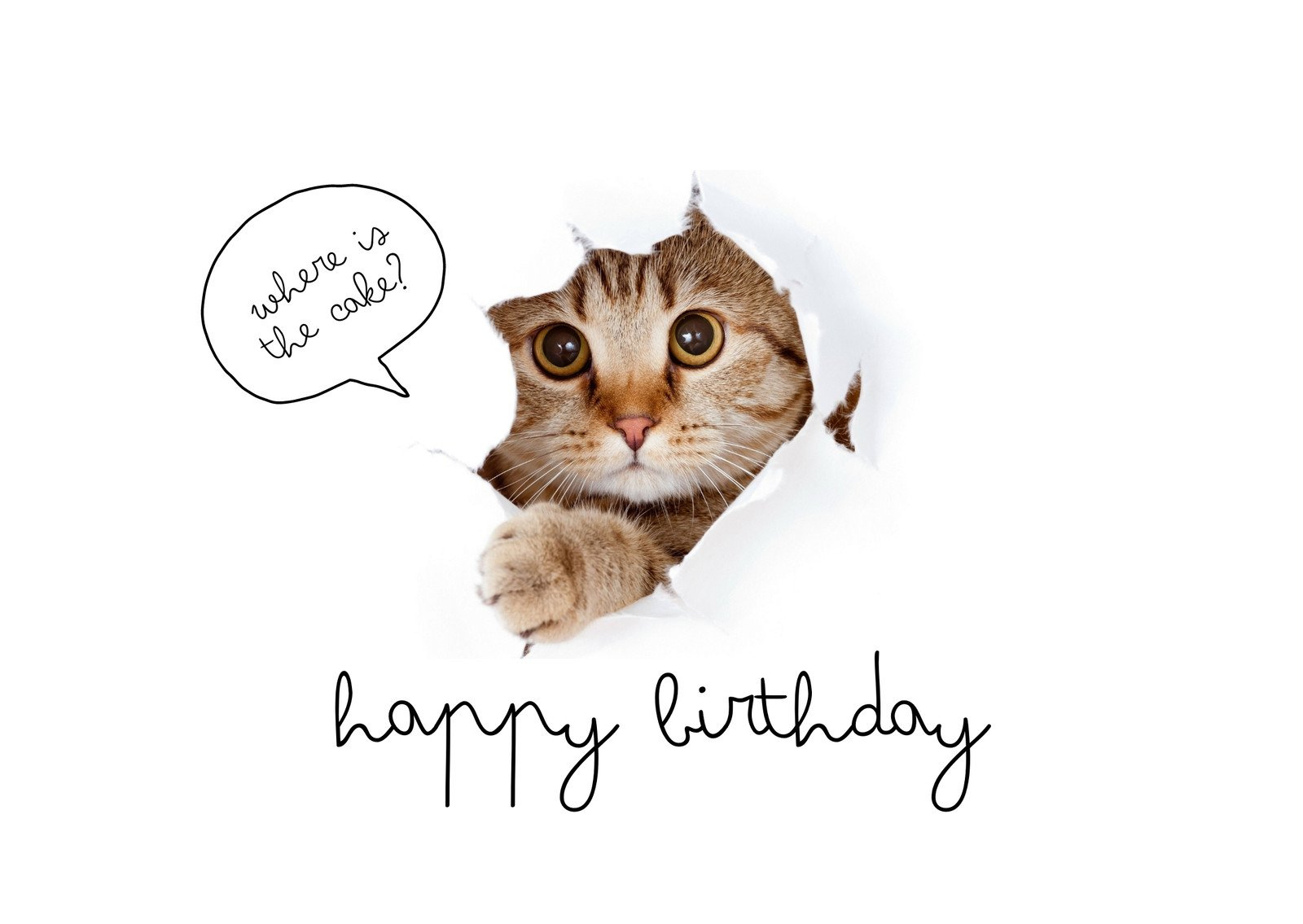 Free Printable Funny Birthday Card Templates | Canva intended for Free Printable Birthday Cards For Husband Funny