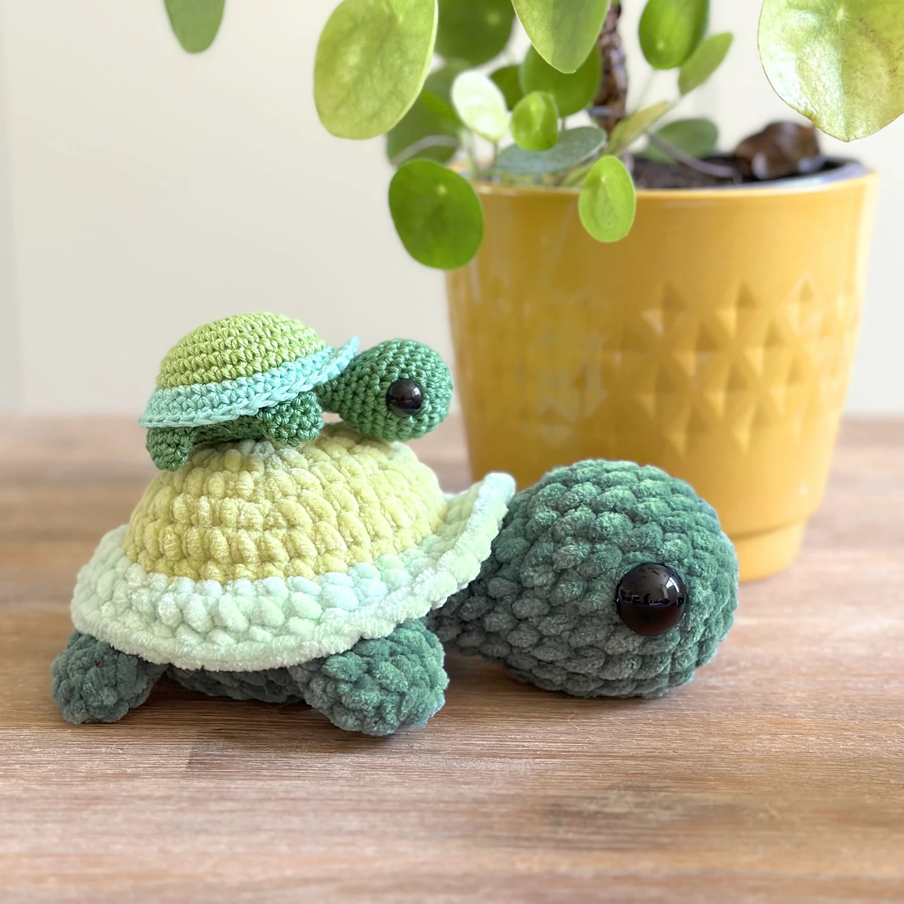Free Turtle Crochet Pattern - Diy Fluffies Amigurumi Patterns pertaining to Free Printable Crochet Turtle Pattern