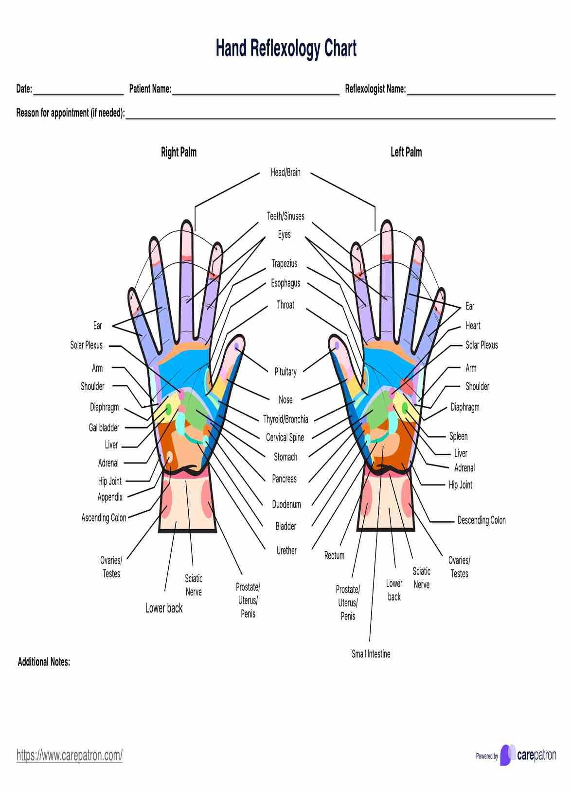 Hand Reflexology Chart &amp;amp; Example | Free Pdf Download within Printable Reflexology Charts Free