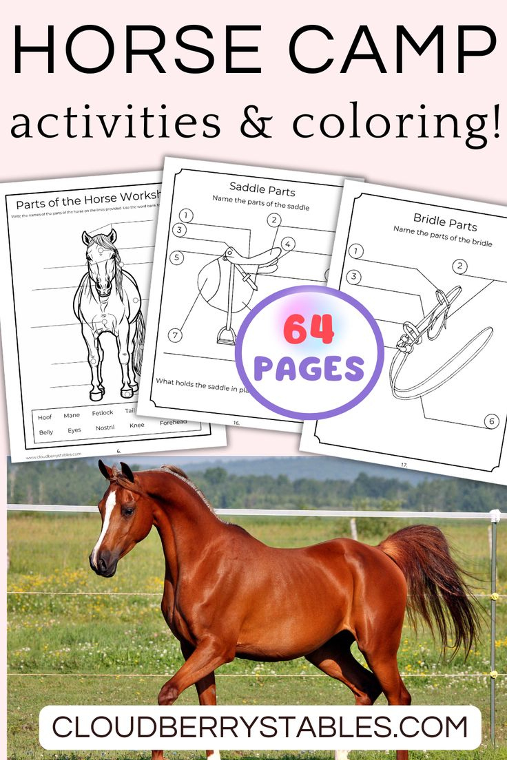 Horse Camp Coloring And Activity Pack Of 64 Pages with regard to Pony Camp Horse Worksheets Printable