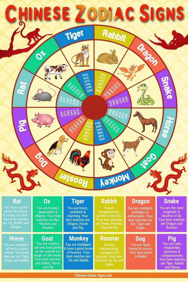 Incredible Chinese Zodiac Traits And Characteristics Printable with regard to Free Printable Chinese Zodiac Placemat Printable