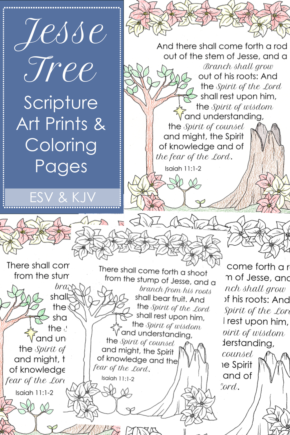 Jesse Tree Scripture Printable Poster &amp;amp; Coloring Page inside Jesse Tree Free Printable