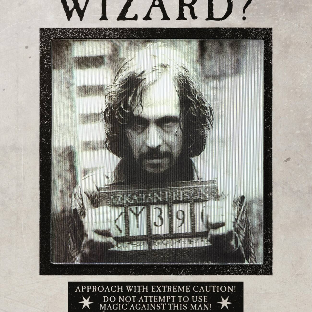 Ministry Of Magic - &amp;#039;Have You Seen This Wizard?&amp;#039; - Minalima with regard to Have You Seen This Wizard Printable