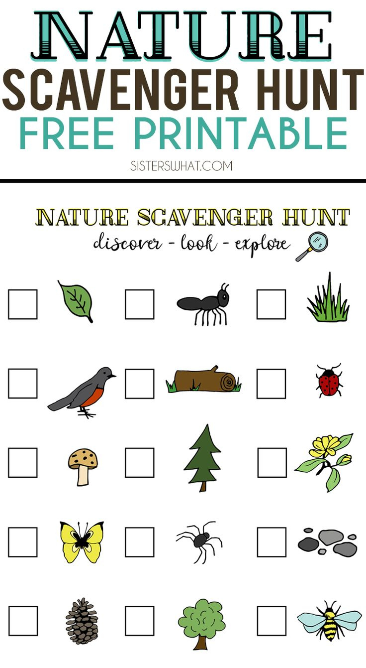 Nature Scavenger Hunt And Summer Adventures || Free Printable within Nature Scavenger Hunt Printable Free