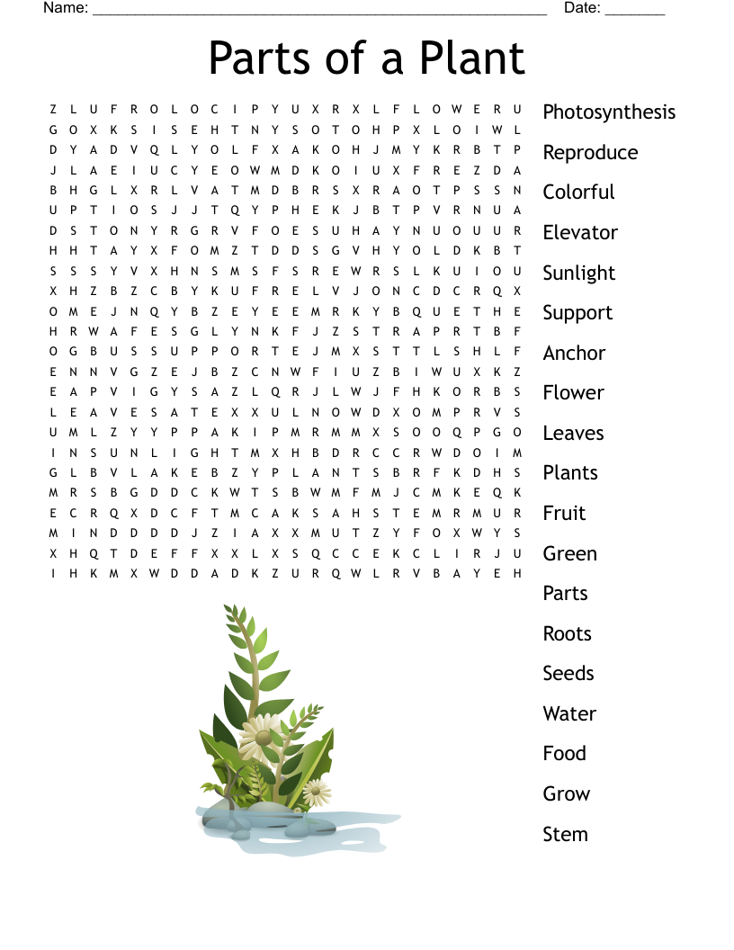 Parts Of A Plant Word Search - Wordmint regarding Plant Word Search Printable