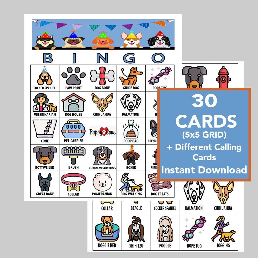 Paw Patrol Bingo Cards - Etsy intended for On Patrol Bingo Card Generator