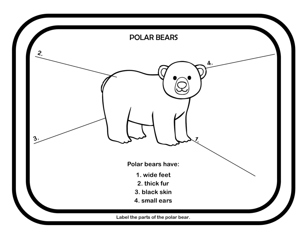Polar Bears Unit Study - The Wolfe Pack regarding Printable Polar Bear Worksheets