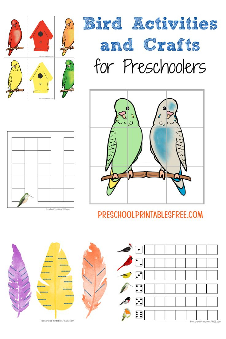 Preschool Bird Activities in Preschool Bird Theme Printables