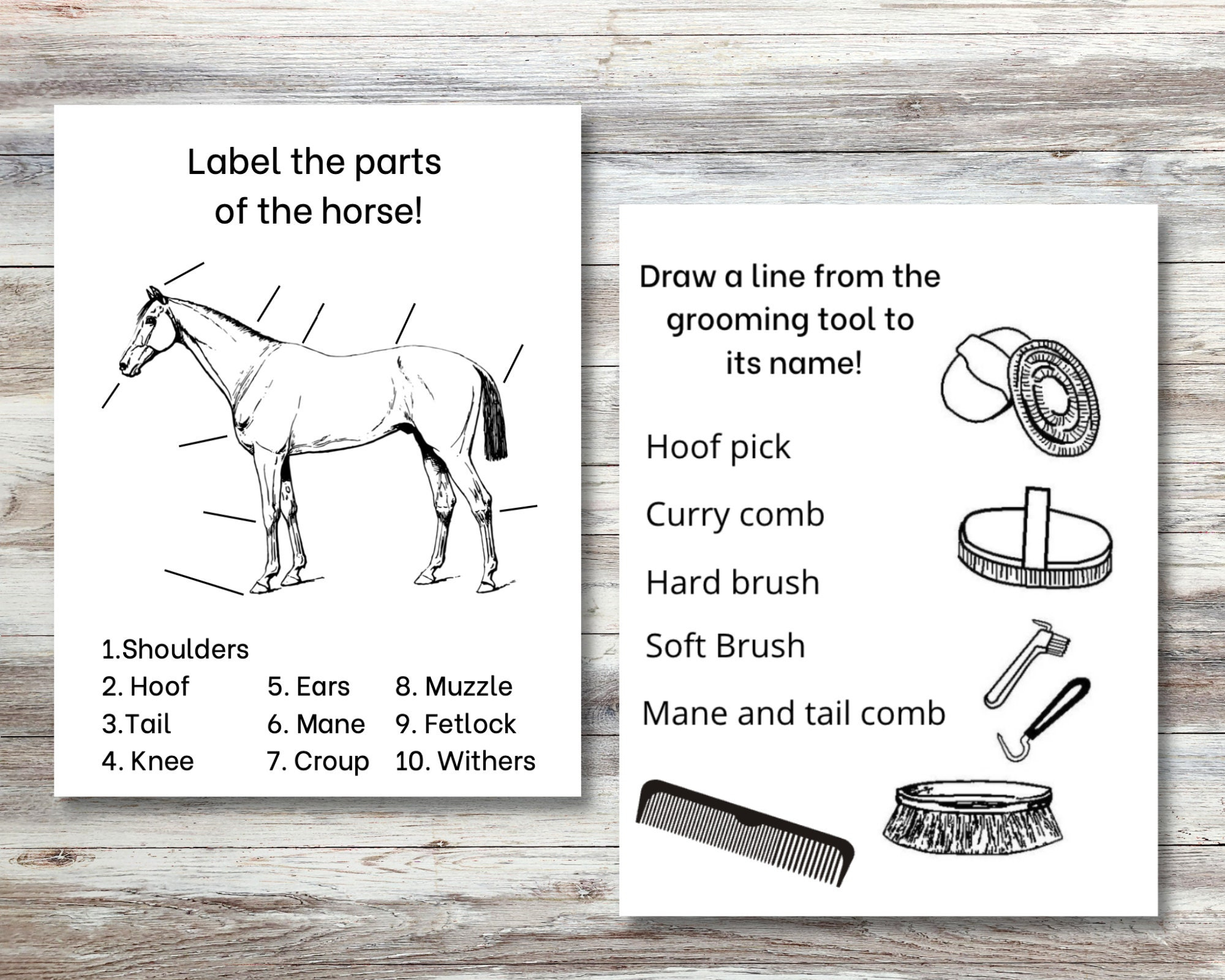 Printable Horse Camp Activity Book For Kids | Equestrian Coloring for Pony Camp Horse Worksheets Printable
