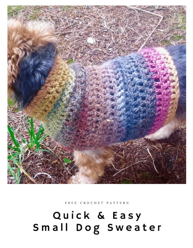 Quick And Easy Small Dog Crochet Sweater: Free Pattern inside Free Printable Crochet Dog Sweater Patterns