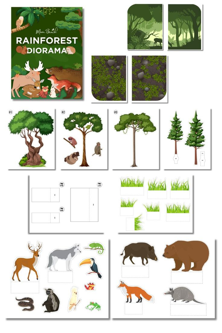 Rainforest Diorama Kid&amp;#039;S Printable (12 Pages) with Free Printable Rainforest Diorama Printables