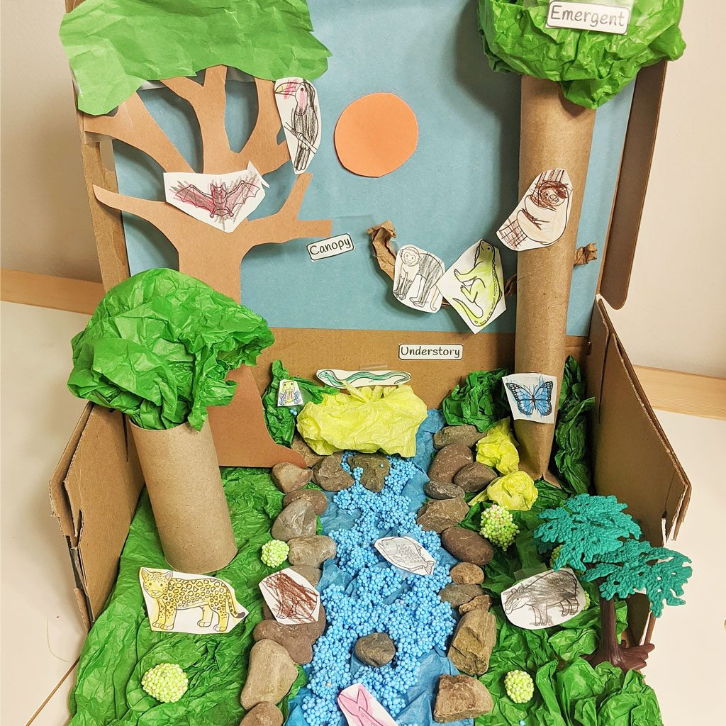 Rainforest Diorama - Raising Hooks inside Free Printable Rainforest Diorama Printables