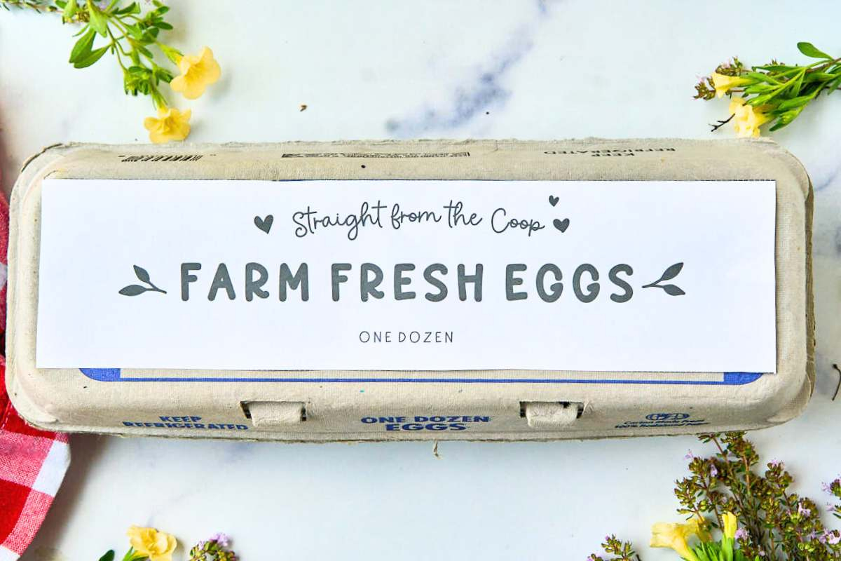 Simple Farm Fresh Egg Labels (Free Printables) regarding Printable Egg Carton Labels
