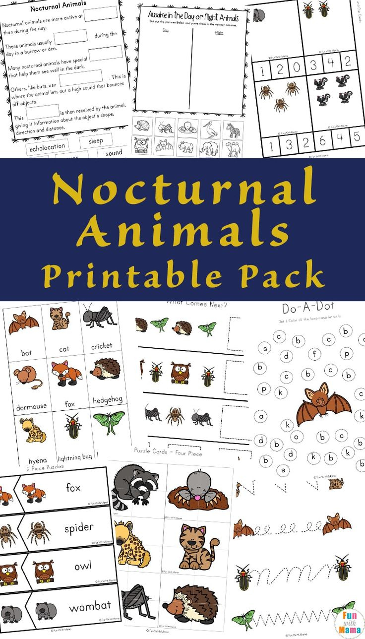 Your Kids Will Enjoy This Nocturnal Animals Printable Pack intended for Free Printable Nocturnal And Diurnal Animals Worksheets