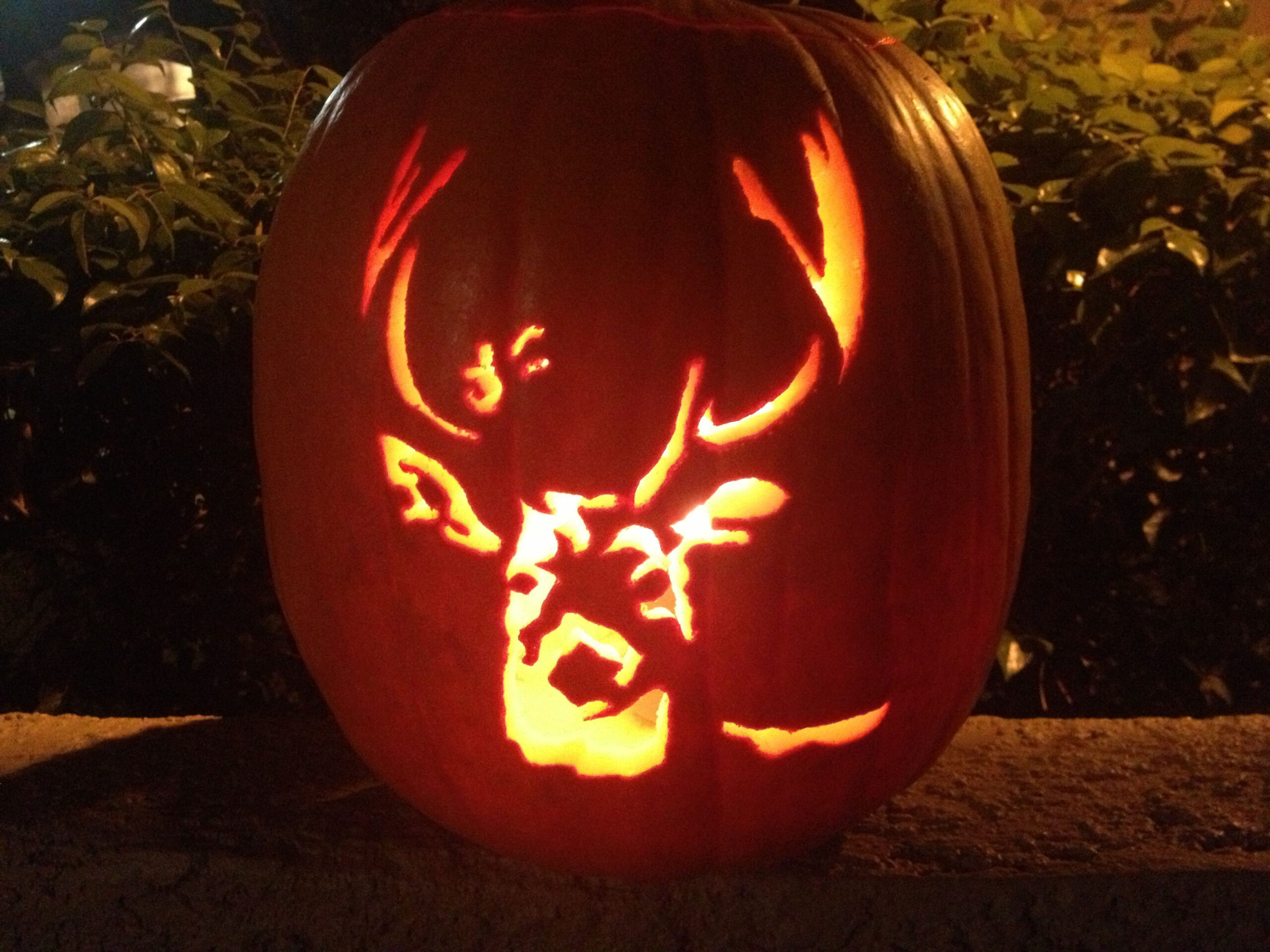11 Creative Pumpkins Carved To Look Like Wildlife - Cottage Life in Printable Deer Pumpkin Carving Stencils