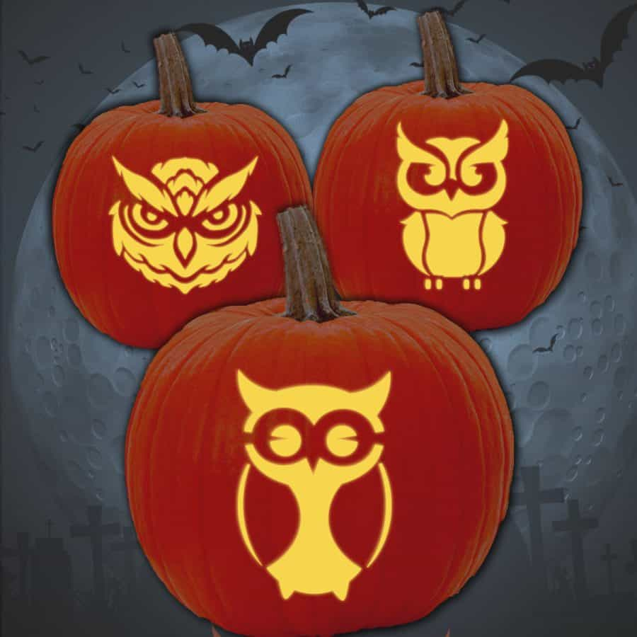 25 Owl Pumpkin Carving Patterns (Free Stencils) - Artsy Pretty Plants in Printable Owl Pumpkin Carving Stencils