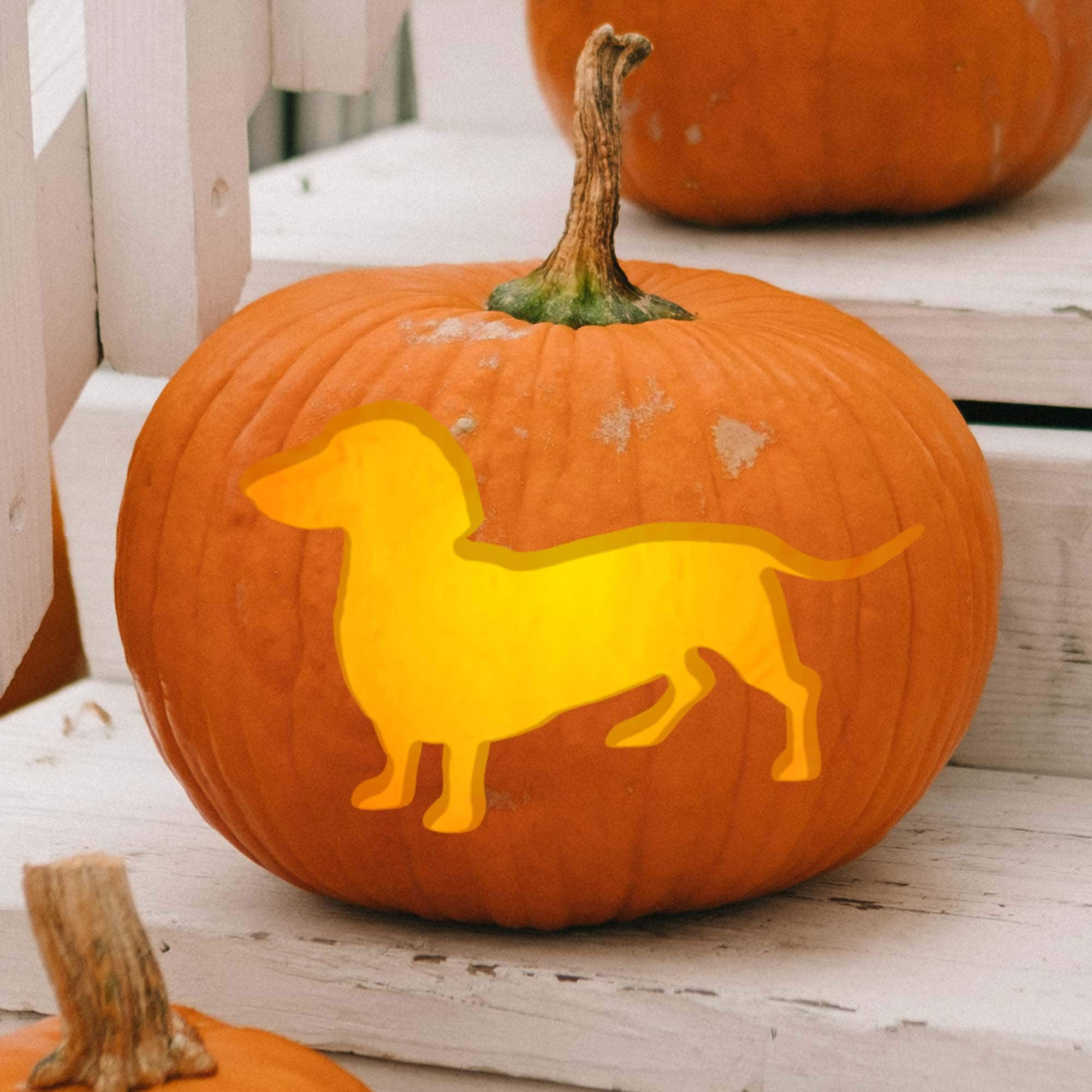 Dachshund / Silhouette Series Printable Pumpkin Carving Pattern with Printable Dachshund Pumpkin Carving Pattern