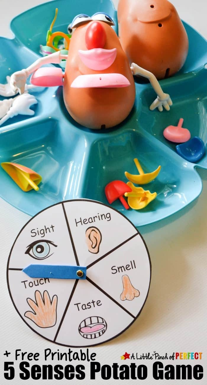5 Senses Activity With Mr. Potato Head + Free Printable - A Little inside Mr Potato Head 5 Senses Printable Free