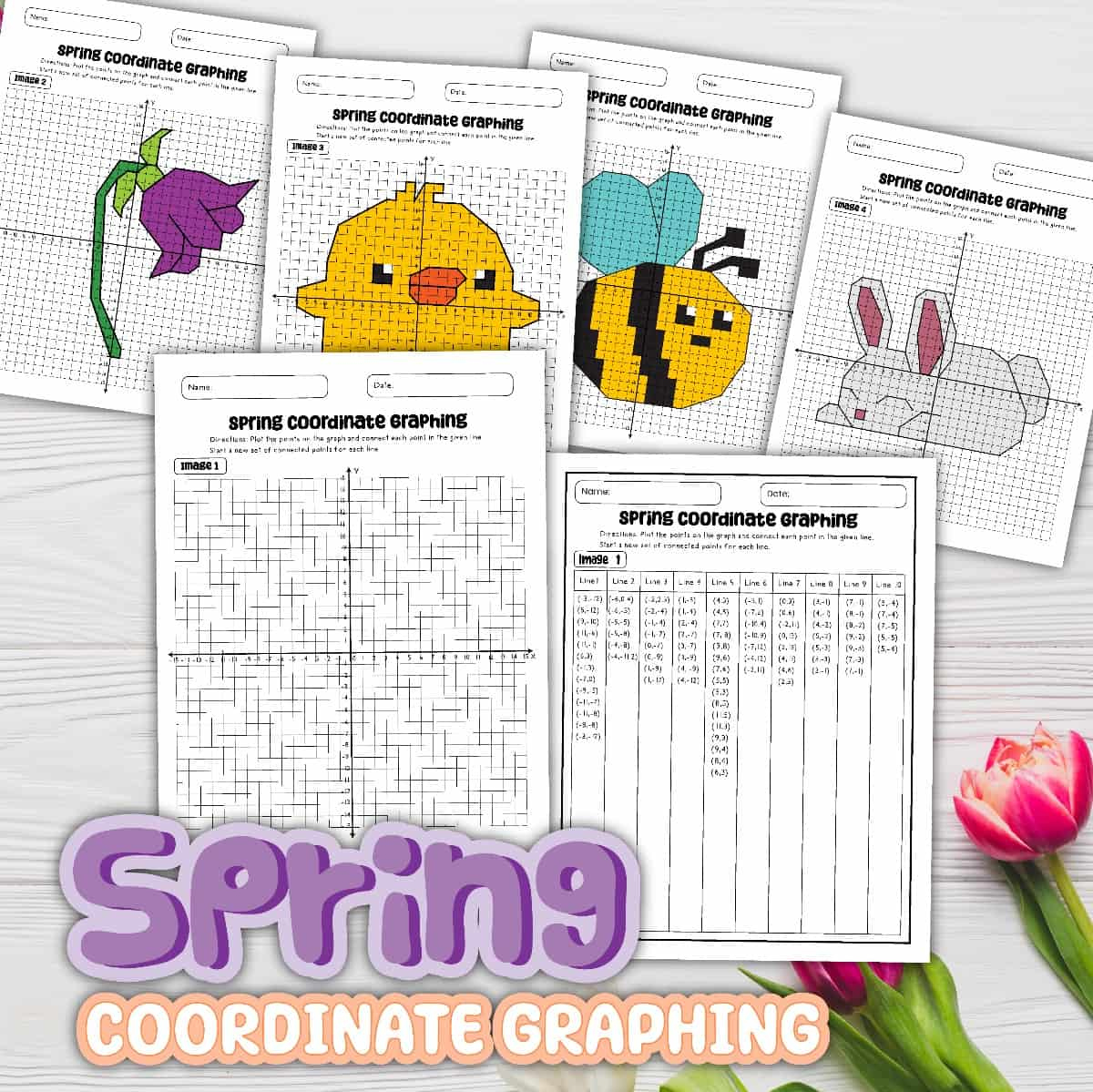 8 Free Pdf Coordinate Graphing Picture Worksheets in Coordinate Graphing Pictures Free Printable
