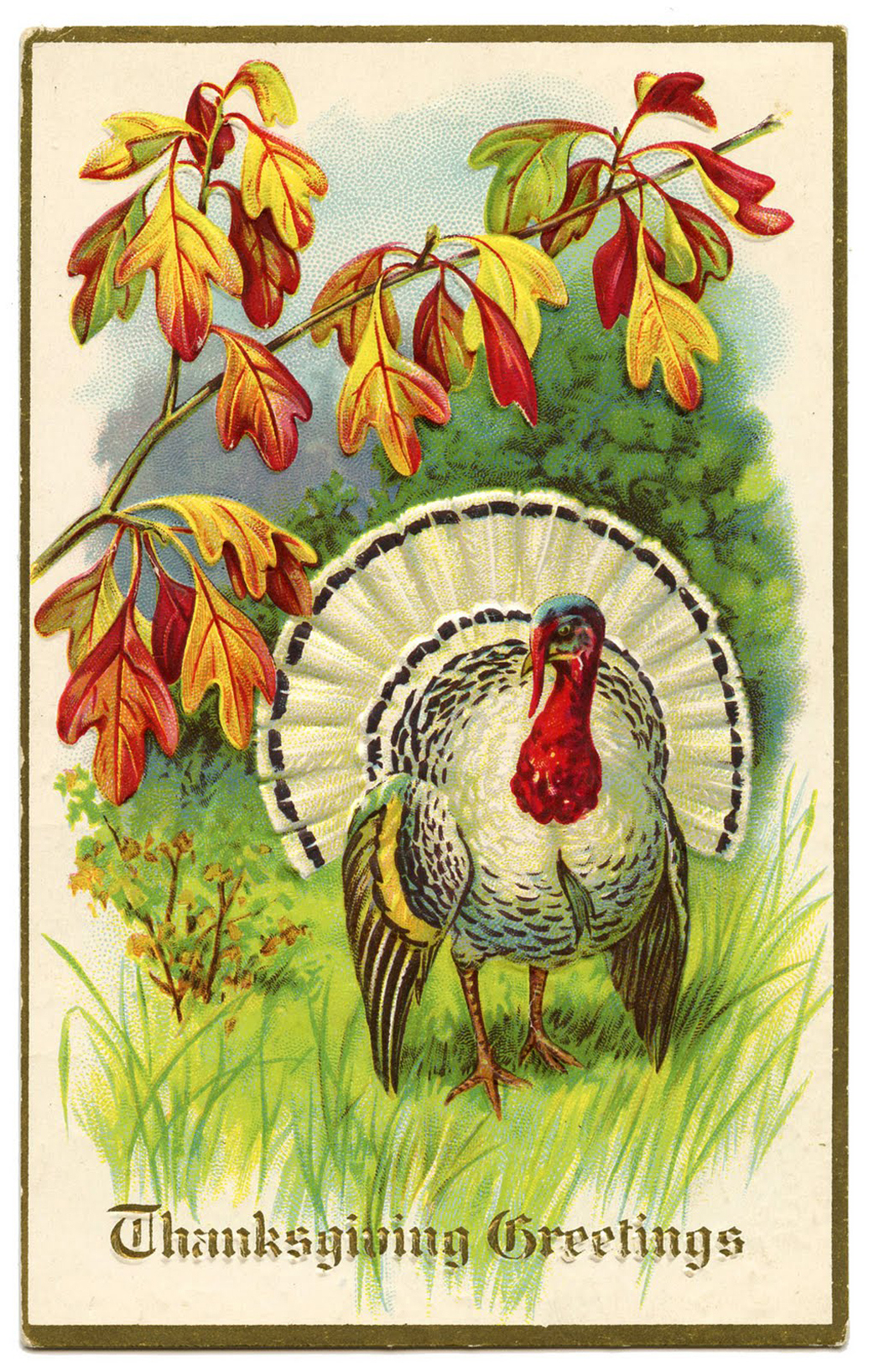 8 White Turkey Images - Vintage Thanksgiving! - The Graphics Fairy intended for Free Vintage Thanksgiving Printables