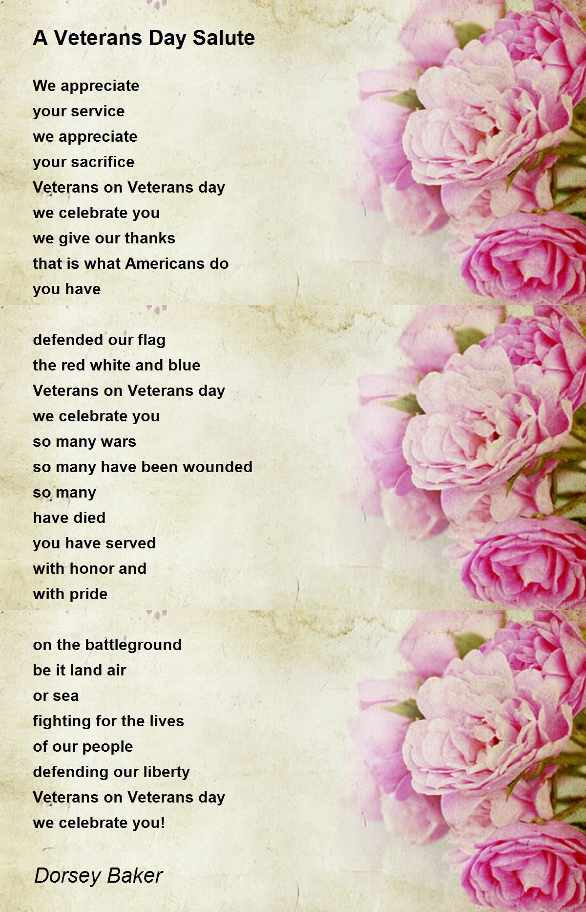 A Veterans Day Salute - A Veterans Day Salute Poemdorsey Baker pertaining to Veterans Day Salute Poem