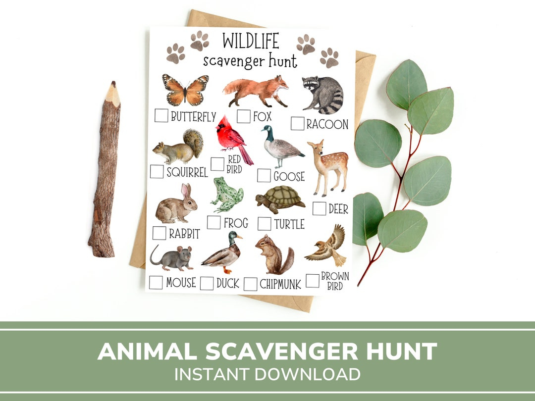 Animal Scavenger Hunt | Printable Scavenger Hunt | Nature in Animal Scavenger Hunt Printable