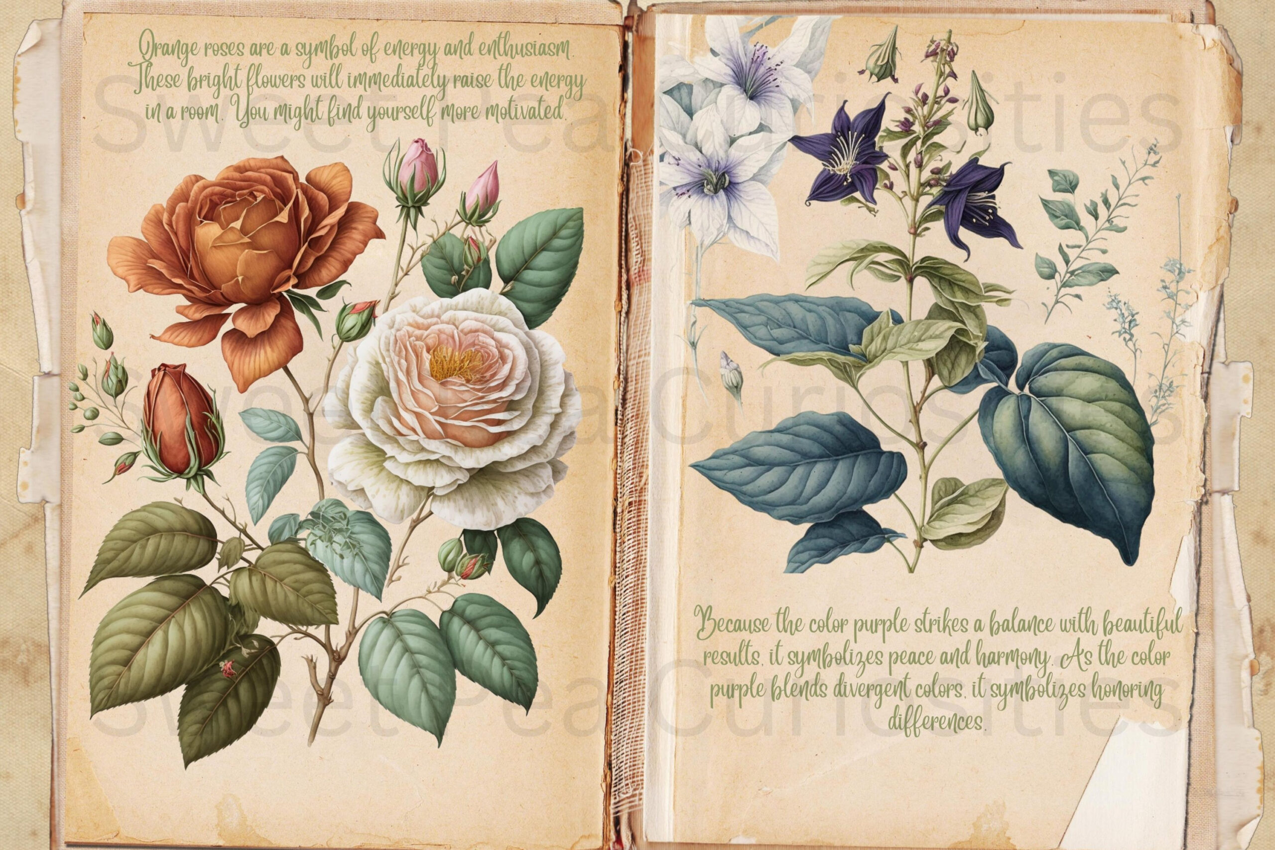 Beautiful Flower Book Pages And Papers, Junk Journal, Art intended for Edith Holden Free Printables