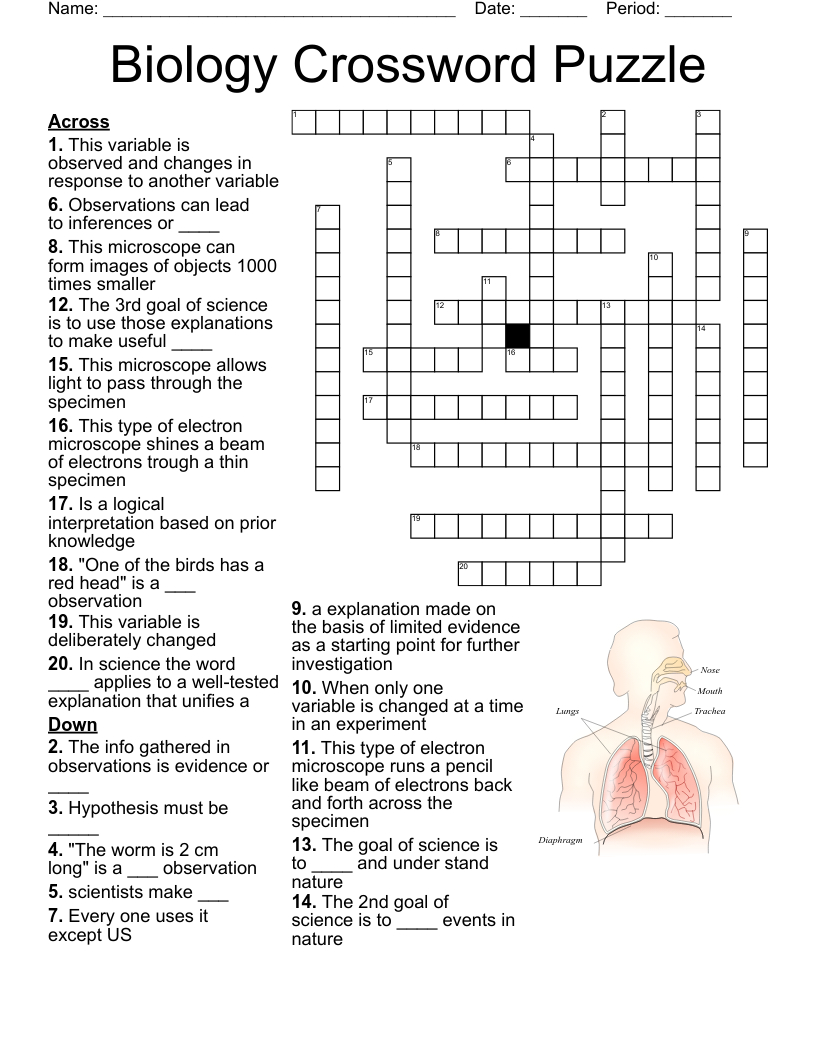 Biology Crossword Puzzle - Wordmint within Crossword Puzzle Science Printable