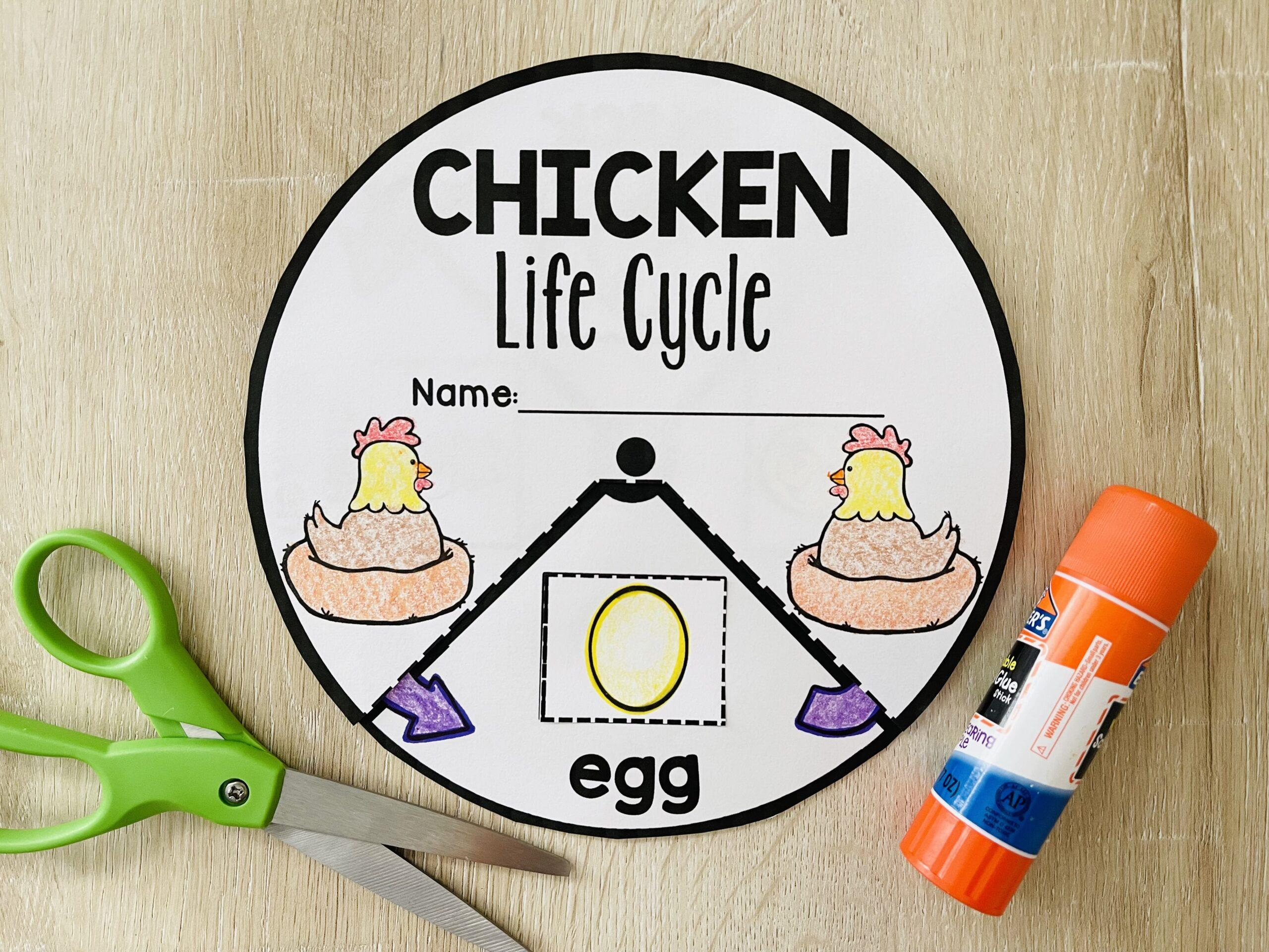 Chicken Life Cycle Craft {Free Interactive Wheel} - Curriculum Castle intended for Life Cycle of a Chicken Printable