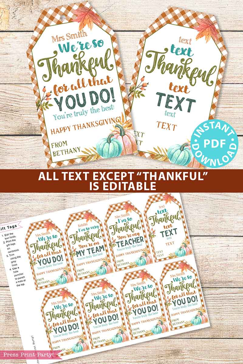 Editable Thanksgiving Gift Tags Printable, Thankful Gingham throughout Extra Thankful For You Printable