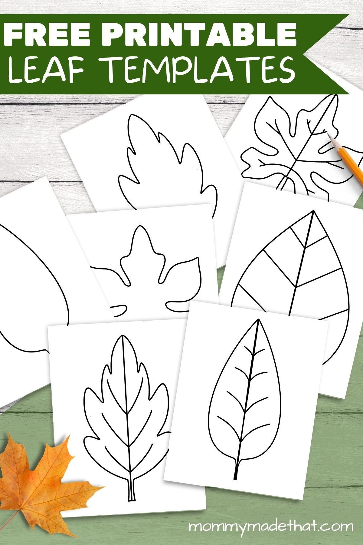 Free Leaf Templates & Outlines: Tons Of Printables!! intended for Flower Leaf Template Printable