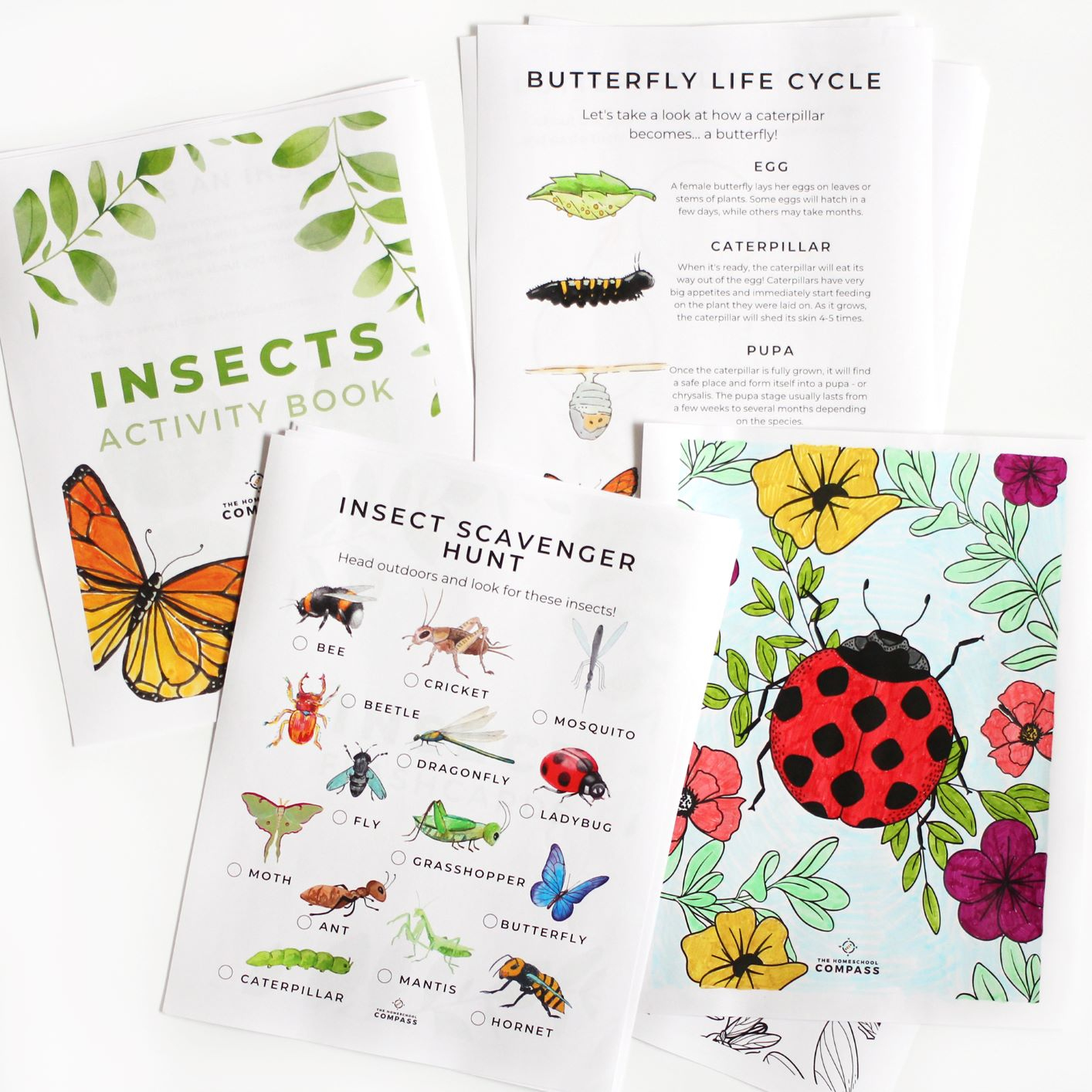 Free Printable Insect Activity Book - Homeschool Compass with Homeschool Compass Free Printables