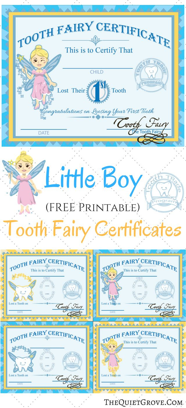 Free Printable Tooth Fairy Certificates with Free Printable Tooth Fairy Certificate