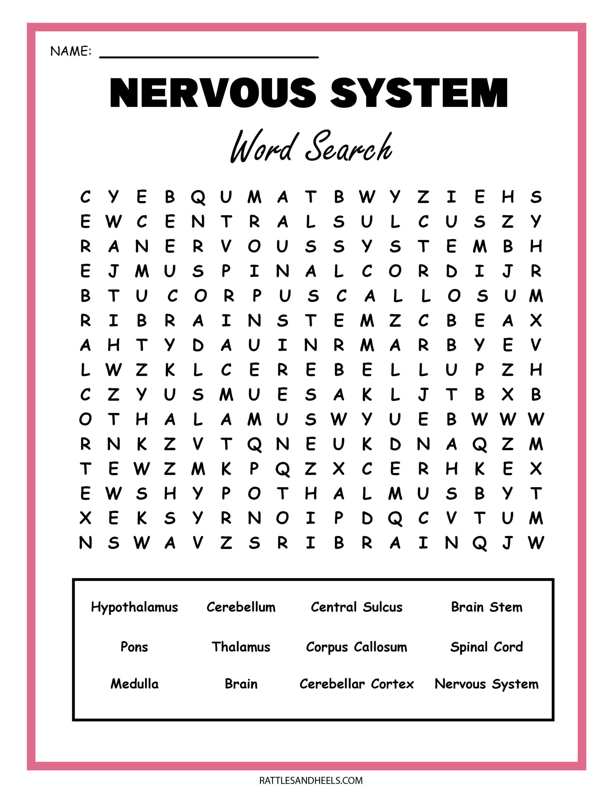 Free Science Worksheets| The Nervous System - in Free Printable Nervous System Worksheets